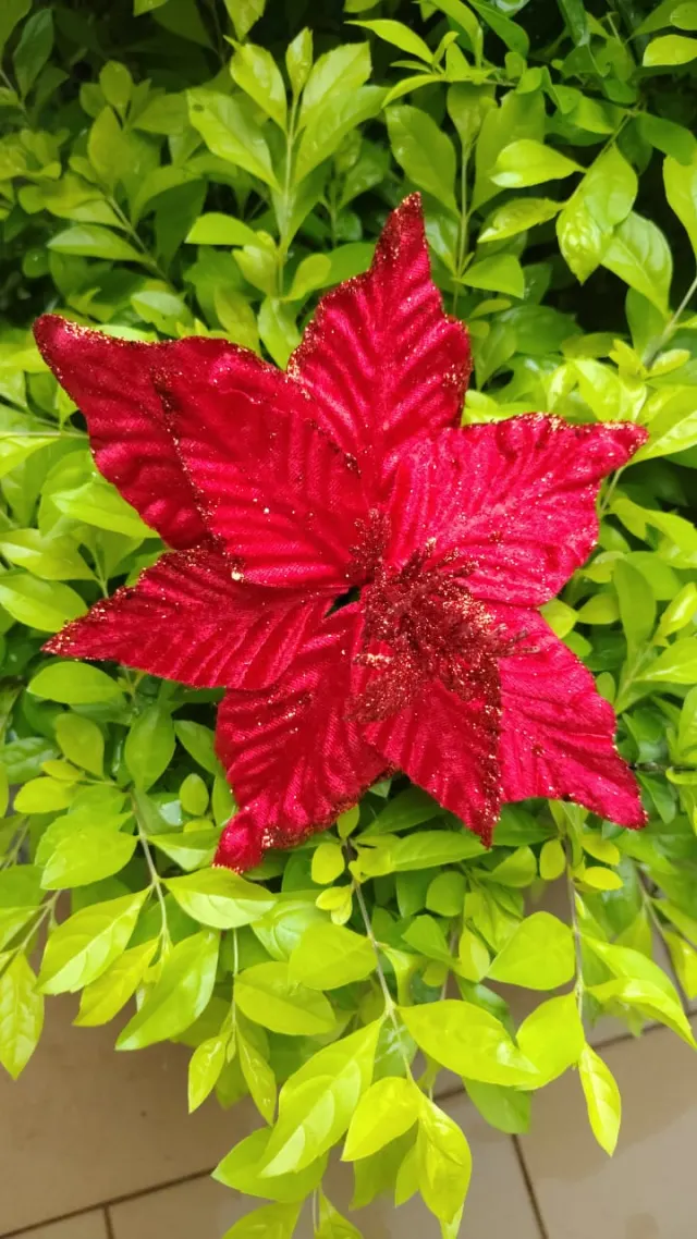 Flor roja, 22 × 15 cm · 8 hojas