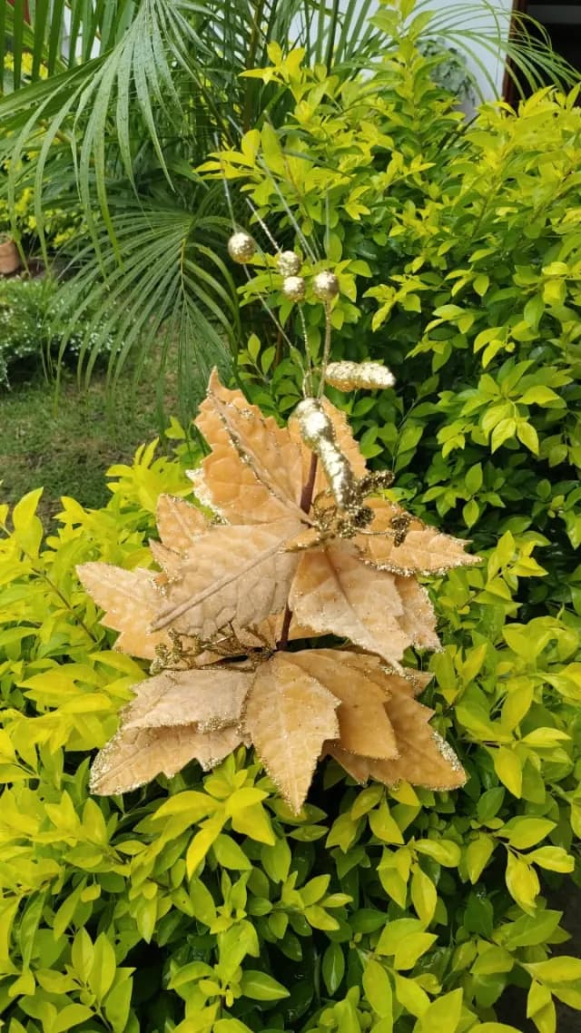 Flor doble dorada, 73 cm