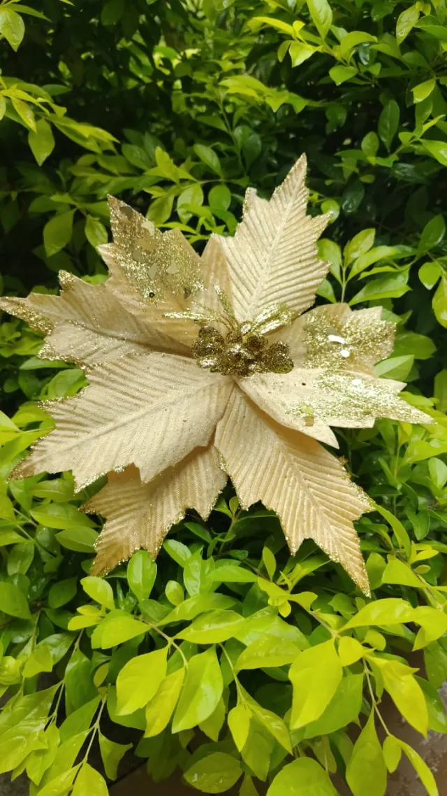 Flor dorada con semillas, 29 × 20 cm · 5 hojas