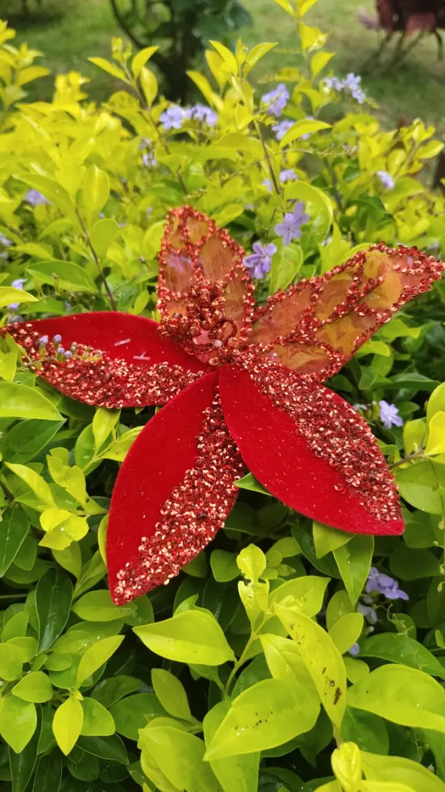 Flor roja traslúcida, 20 × 15 cm · 5 hojas