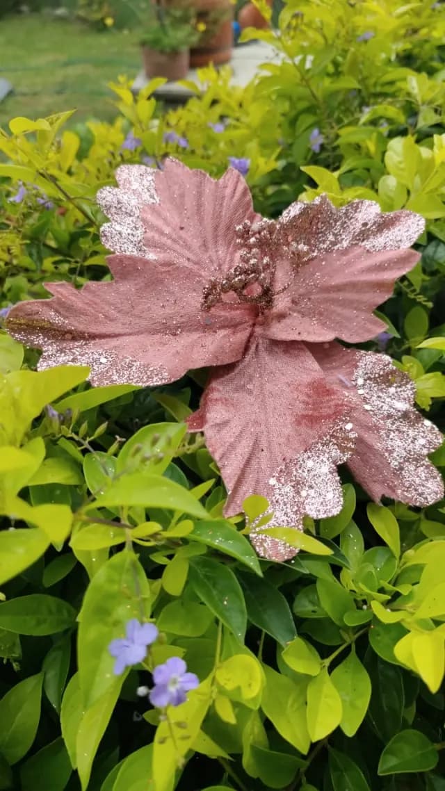 Flor oro rosa con punta escarchada, 22 × 15 cm · 5 hojas