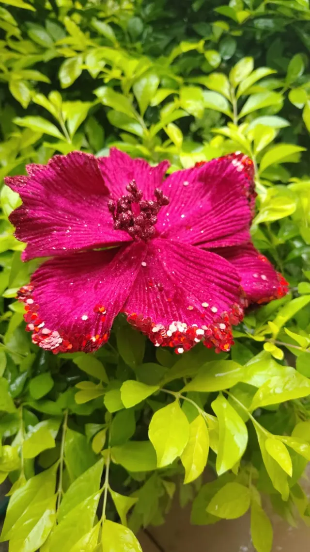 Flor roja escarchada, 17 cm · 8 hojas