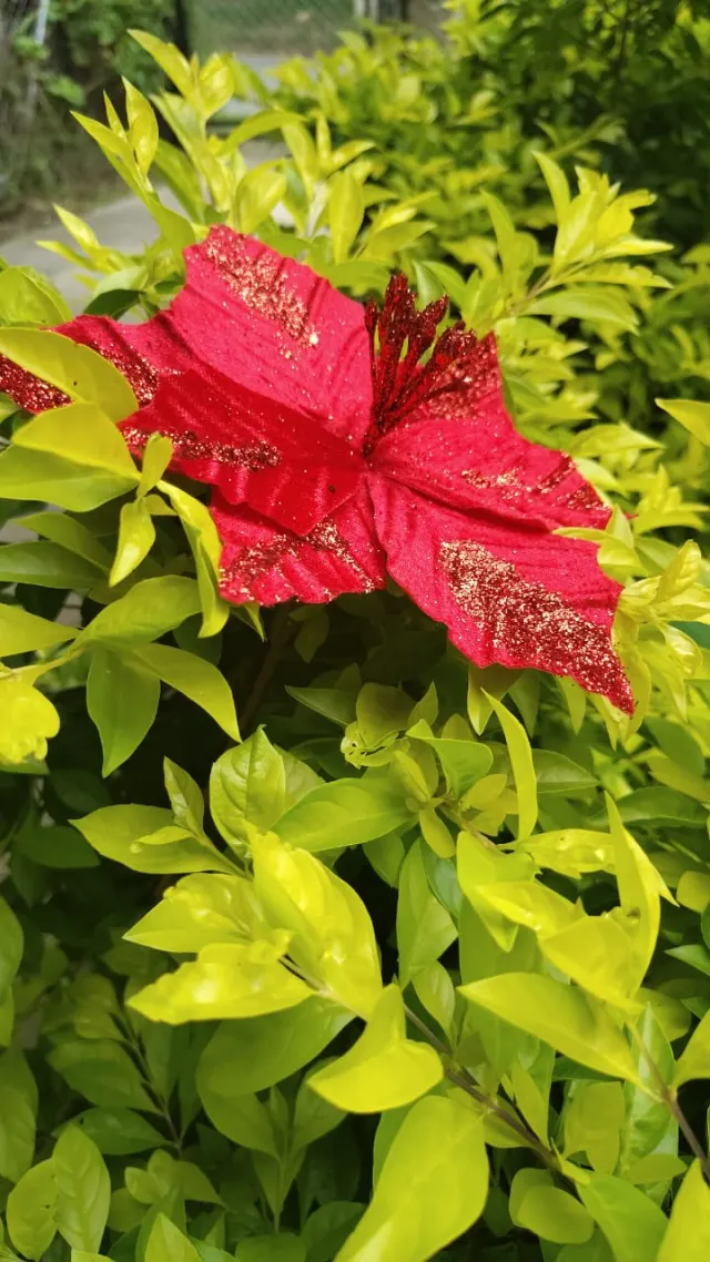 Flor roja escarchada, 22 cm · 8 hojas