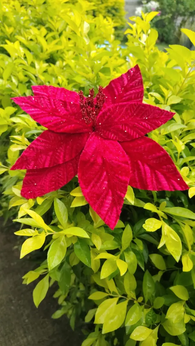 Flor roja escarchada, 27 cm · 8 hojas · diseño distinto al NA38