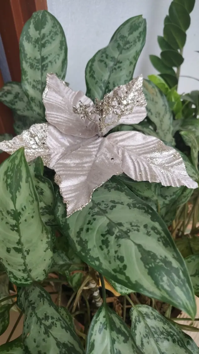 Flor champaña con semillas, 21 × 15 cm · 5 hojas
