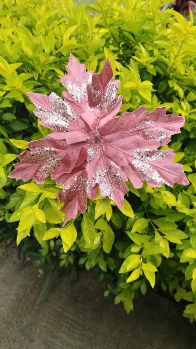 Flor oro rosa escarchada, 30 cm · 8 hojas