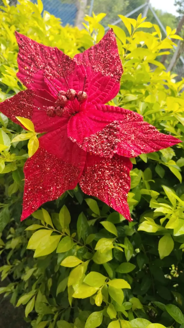 Flor roja escarchada, 32 cm · 8 hojas