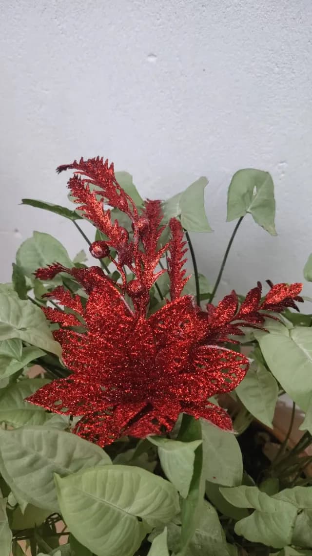 Rama roja escarchada, 38 cm