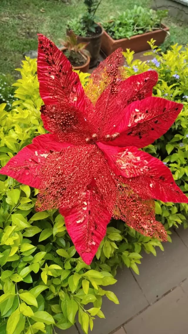 Flor roja escarchada, 50 cm · 10 hojas