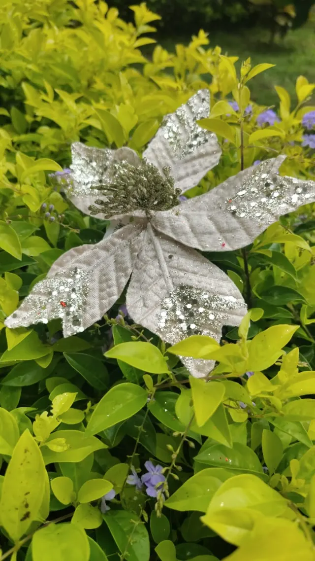 Flor champaña con punta escarchada, 19 × 10 cm · 5 hojas