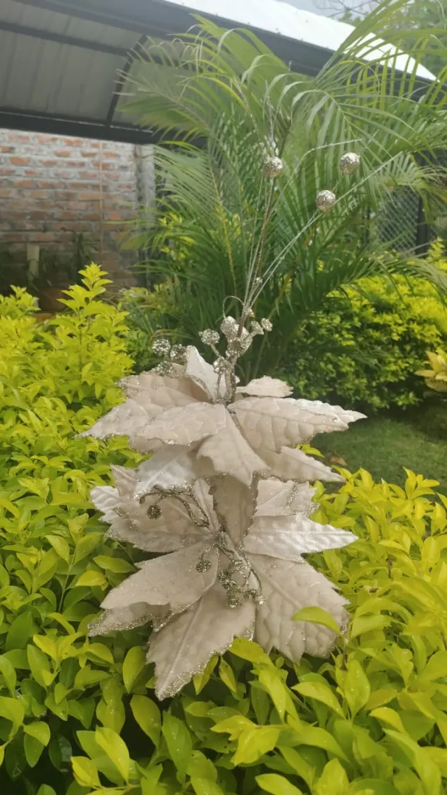 Flor doble champaña, 73 cm