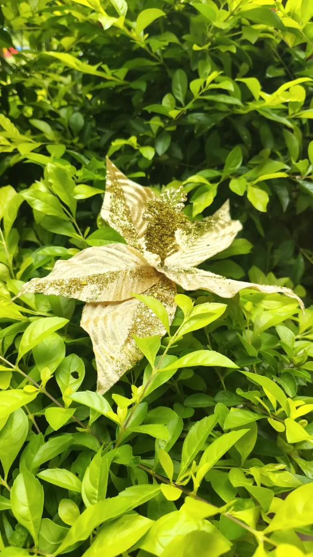 Flor dorada escarchada rayada, 24 × 20 cm · 5 hojas